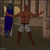 hunky-surfer-07.jpg