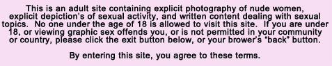warning before etnering site